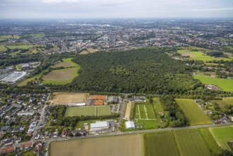 Aerial view, construction site at the Hammer SC sports facility between Hubert-Westermeier-Straße