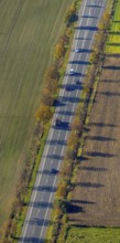 Aerial view, autumnal tree avenue in the district Bockum-Hövel in Hamm, Ruhr area, North