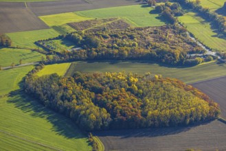 Aerial view, forest and small transformer station with hill Martinstraße in the district Pelkum in
