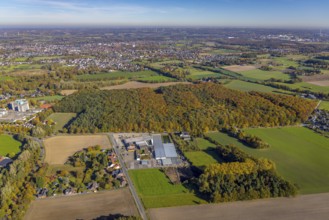 Aerial view, autumn forest at Caldenhofer Weg in the district Rhynern in Hamm, Ruhr area, North
