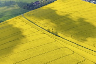 Aerial view, rape fields Heidestraße corner Dümgesweg, Leubeck, Heiligenhaus, Ruhr area, North