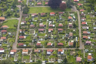 Aerial view, allotment garden association Birther Höfe, Asternweg, Hetterscheidt, Heiligenhaus,
