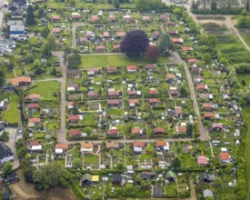 Aerial view, allotment garden association Birther Höfe, Asternweg, Hetterscheidt, Heiligenhaus,