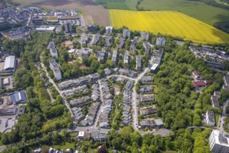 Aerial view, residential area and high-rise buildings Rhönstraße and Harzstraße, rape field on