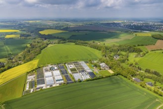 Aerial view, container nursery and perennials Kunz, Leubeck, Heiligenhaus, Ruhr area, North