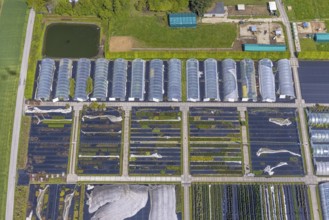 Aerial view, container nursery and perennials Kunz, Leubeck, Heiligenhaus, Ruhr area, North