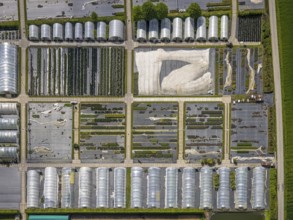 Aerial view, container nursery and perennials Kunz, Leubeck, Heiligenhaus, Ruhr area, North
