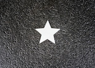 Stars on sidewalk as memorial for Nazi victims, Tilbeck Abbey, Tilbeck foundation, Havixbeck,