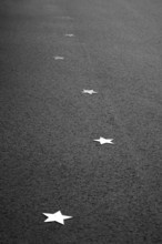 Stars on sidewalk as memorial for Nazi victims, Tilbeck Abbey, Tilbeck foundation, Havixbeck,
