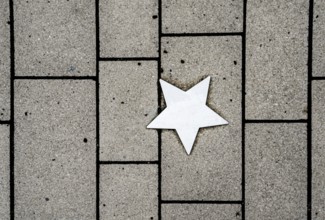 Stars on sidewalk as memorial for Nazi victims, Tilbeck Abbey, Tilbeck foundation, Havixbeck,