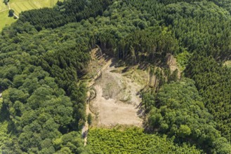 Aerial view, forest area with forest damage at Habbecker Berg, Frielentrop, Finnentrop, Sauerland,