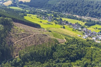 Aerial view, forest area with forest damage, Rönkhausen, Finnentrop, Sauerland, North