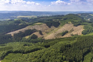 Aerial view, forest area with forest damage at Habbecker Berg, Frielentrop, Finnentrop, Sauerland,