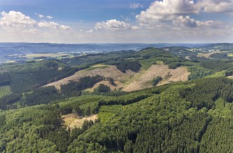 Aerial view, forest area with forest damage at Habbecker Berg, Frielentrop, Finnentrop, Sauerland,