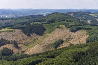 Aerial view, forest area with forest damage at Habbecker Berg, Frielentrop, Finnentrop, Sauerland,