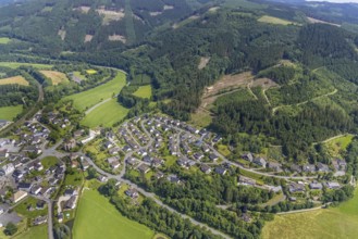 Aerial view, forest area with forest damage Am Halloh, Lenhausen, Finnentrop, Sauerland, North