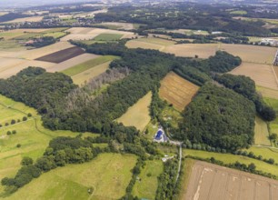Aerial photograph, forest damage on Heideweg in the Strickherdicke district, Fröndenberg/Ruhr, Ruhr