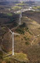 Forest damage and wind turbines Büschergrund, Freudenberg, Sauerland, North Rhine-Westphalia,