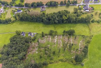 Aerial view, forest with felled trees at Holtkamp in the district Bausenhagen, Fröndenberg/Ruhr,