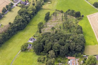 Aerial view, forest with felled trees at Holtkamp in the district Bausenhagen, Fröndenberg/Ruhr,