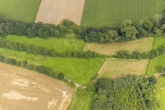 Aerial view, The Rammbach crosses Ölmühlenweg in Warmen near Bentrop, Fröndenberg/Ruhr, Ruhr area,
