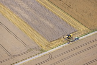 Aerial view, harvest at Palzweg in Frohnhausen, Fröndenberg/Ruhr, Ruhr area, North