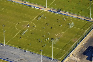 Aerial view, football players and training grounds at the Schalke Veltins-Arena, Berger Feld, Erle,