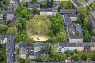 Aerial view, Möntingplatz, Schalke, Gelsenkirchen, Ruhr area, North Rhine-Westphalia, Germany, DE,