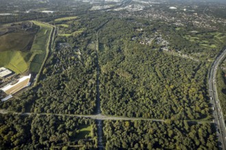 Aerial view, Resser Mark city forest with Münsterstrasse in the Resser Mark district of