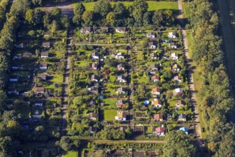 Aerial view, allotment garden association Bismarck-West in the Erle district of Gelsenkirchen, Ruhr