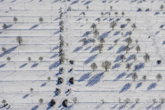 Aerial view, trees in the snow at Essen / Mülheim airport, Haarzopf, Essen, Ruhr area, North