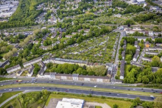 Aerial view, allotment garden association Essen-Kray, residential buildings at the motorway A40,