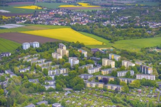 Aerial view, rape fields, Essen-Freisenbruch, Essen, Ruhr area, North Rhine-Westphalia, Germany,
