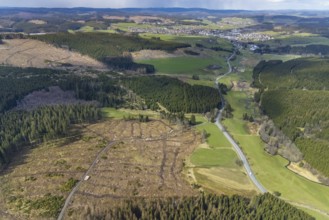 Aerial photo, forest damage in the forest area Berg Ebschloh, Erndtebrück, Siegerland, North
