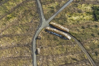 Aerial view, forest damage in the forest area Berg Ebschloh, Erndtebrück, Siegerland, North