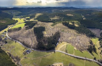 Aerial photo, forest damage in the forest area Berg Ebschloh, Erndtebrück, Siegerland, North