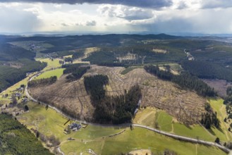 Aerial photo, forest damage in the forest area Berg Ebschloh, Erndtebrück, Siegerland, North