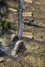 Aerial photo, forest damage in the forest area Berg Ebschloh, timber transport, Erndtebrück,