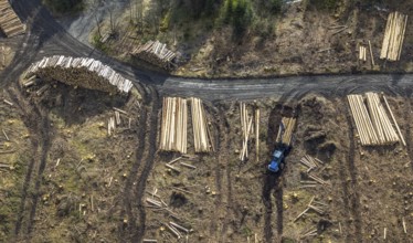 Aerial photo, forest damage in the forest area Berg Ebschloh, timber transport, Erndtebrück,