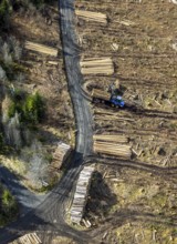 Aerial photo, forest damage in the forest area Berg Ebschloh, timber transport, Erndtebrück,