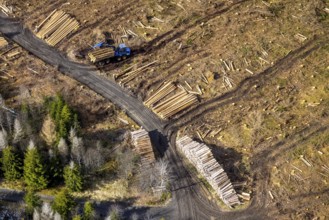 Aerial photo, forest damage in the forest area Berg Ebschloh, timber transport, Erndtebrück,