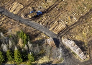 Aerial photo, forest damage in the forest area Berg Ebschloh, timber transport, Erndtebrück,