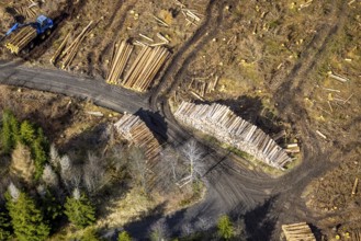 Aerial photo, forest damage in the forest area Berg Ebschloh, timber transport, Erndtebrück,