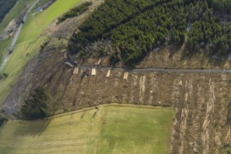 Aerial view, forest damage in the forest area Berg Ebschloh, Erndtebrück, Siegerland, North