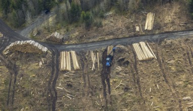 Aerial photo, forest damage in the forest area Berg Ebschloh, timber transport, Erndtebrück,