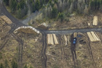 Aerial photo, forest damage in the forest area Berg Ebschloh, timber transport, Erndtebrück,