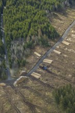 Aerial photo, forest damage in the forest area Berg Ebschloh, Erndtebrück, Siegerland, North