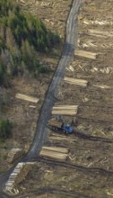 Aerial view, forest damage in the forest area Berg Ebschloh, Erndtebrück, Siegerland, North