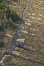 Aerial view, forest damage in the forest area Berg Ebschloh, Erndtebrück, Siegerland, North