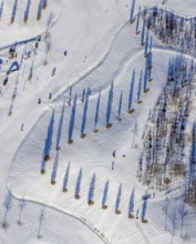 Aerial view, shadow play in snow-covered Krupp Park, Westviertel, Essen, Ruhr area, North